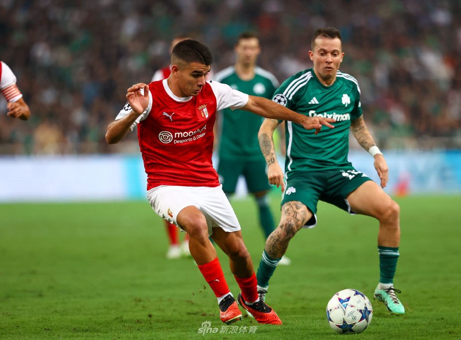 发掘和培养 发掘和培养